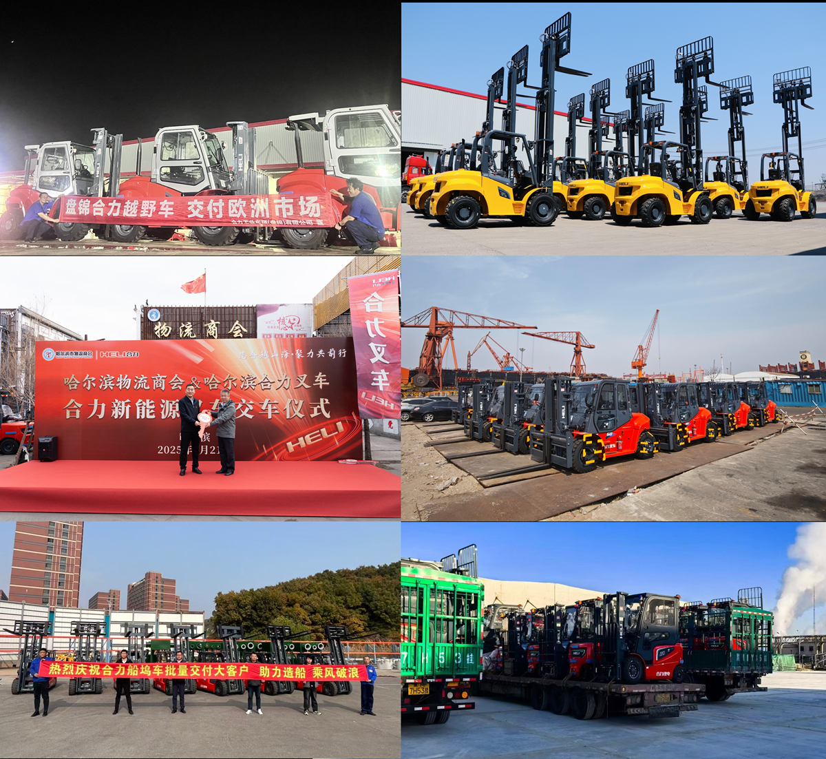 10.國(guó)內(nèi)外客戶定制車型批量交付市場(chǎng)1.png